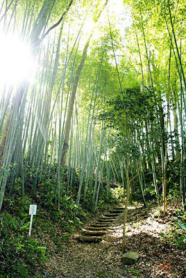 黒羽芭蕉の館周辺の遊歩道「芭蕉の道」。林の中を８００メートルほど続く小道は、芭蕉が旅した当時の山道の雰囲気を醸し出している