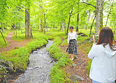 朝ドラ「エール」のタイトルバックのロケ地。ファンが足を運ぶ「聖地」となっている＝福島市・水林自然林