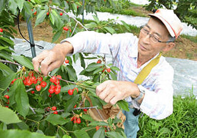 観光客を受け入れる準備を進める菊田さん。「原発が廃炉にならないと、風評被害はどこまでも付いて回る」と話す