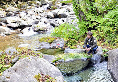 渓流沿いにある湯小屋旅館の大小の露天風呂（手前）。「再開後は営業日を増やし、イベントも企画したい」と話す館主の高萩一之さん