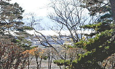 木立の隙間から見える猪苗代湖＝亀ケ城・本丸跡から