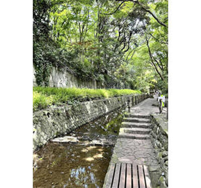 これでも東京の世田谷です♪