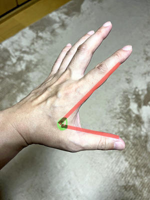 合谷は親指と人さし指の骨が交わる場所を人さし指側に押すよ！（両手ともやろう）