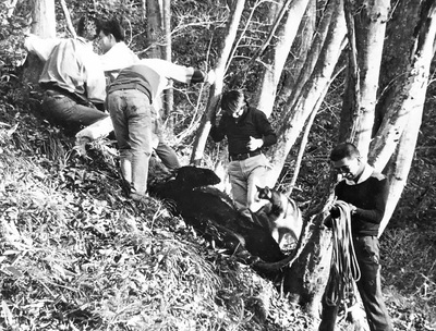 マタギを始めた頃の若かりし日の私（右）。マタギ宿だった三条集落の人たちから教わりながら、マタギの知識や技術を身に付けていった