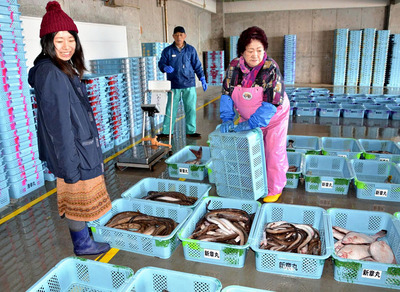 水揚げされた魚を確かめる私（左）。漁業を通じて久之浜を元気にしたいという夢が一つ一つ実現している。私を導いてくれた出会いに感謝したい