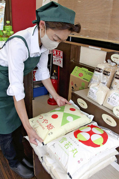 高温耐性品種のコメ「つや姫」と「雪若丸」。作付面積が拡大している＝山形市