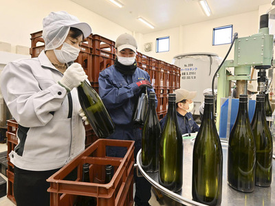 酒の瓶詰め作業をする蔵人ら。鋭いまなざしで品質を見極める