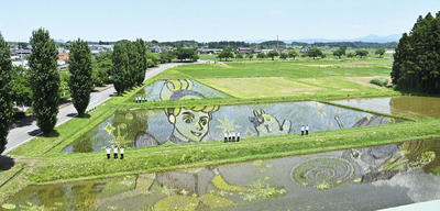 一般観覧が始まった「シンデレラ」をテーマにした田んぼアート＝１８日午前、鏡石町