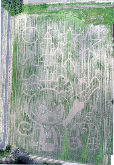 ずんだもんの地上絵が浮かび上がる巨大迷路