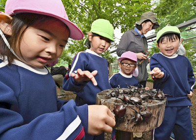カブトムシを放ったドームで触れ合いを楽しむ子どもたち＝１１日午前、田村市・ムシムシランド