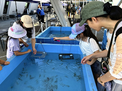 エビ釣り体験の様子