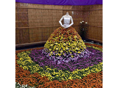 「二本松の菊人形」で展示されている菊のドレス