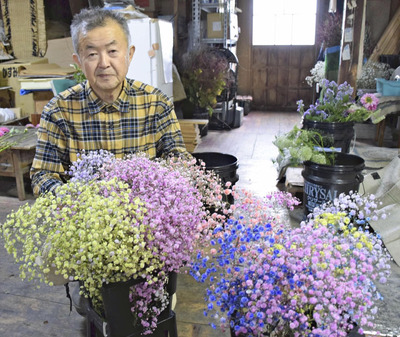 色とりどりの染めかすみ草を手にする私。当初は「邪道」ともいわれたが、売れていく様子を見て消費者が求める花を生産する必要性を感じた