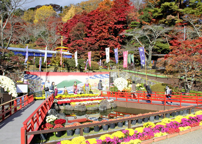 紅葉と菊を楽しむ来場者