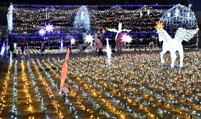 鮮やかな光が輝くイルミネーション＝南相馬市・小高交流センター