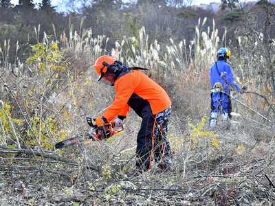 荒川河川敷の樹木伐採や草刈りを行う作業員＝２６日、福島市