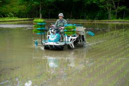 　営農が再開し、田植えが行われた福島県飯舘村長泥地区＝２３日午前