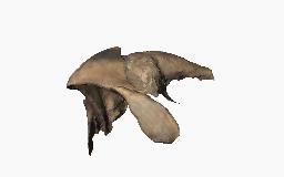 　デジタルで再現したイカのくちばしの化石（研究チーム提供）