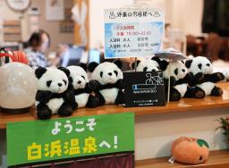　和歌山県白浜町のホテルに飾られているパンダのぬいぐるみ。スタッフは「パンダが白浜からいなくなっても、しばらくは飾り続ける予定です」と寂しそうだった＝２６日夜