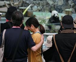 　ジャイアントパンダ４頭の一般公開最終日、良浜（奥）との別れを惜しみ涙ぐむ来園者＝２７日、和歌山県白浜町のアドベンチャーワールド
