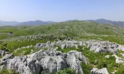 　山口県美祢市の「Ｍｉｎｅ秋吉台」（日本ジオパークネットワーク提供）