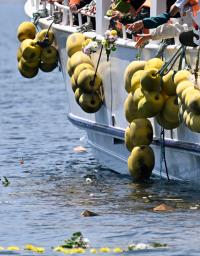 　観光船の沈没現場付近の海上で献花をする乗客家族ら＝１３日午前、北海道斜里町沖