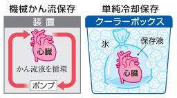 心臓・機械かん流保存と単純冷却保存
