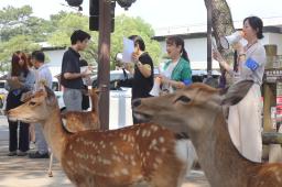 奈良公園でシカに直接触れないよう注意を呼びかける関係者ら=8月、奈良市