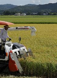 コメの収穫作業=8月、新潟県三条市