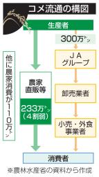 コメ流通の構図
