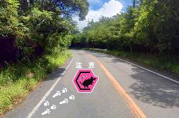 　運転手にケナガネズミへの注意を促す路面デザインのイメージ