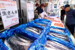 東京都品川区の鮮魚店「中與(なかよ)商店」に並ぶサンマ。今年のサンマ漁は昨年の2倍を超える水準で好調な水揚げが続き、記録的な不漁だった2022年の年間総量の1万8千トンを既に上回った=25日午前