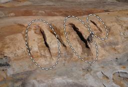 　大阪府枚方市の茄子作遺跡で発見された初期須恵器の窯跡（丸で囲った部分）（大阪府文化財センター提供）