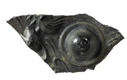 　富雄丸山古墳で出土した斜縁神獣鏡の破片（奈良市教育委員会提供）