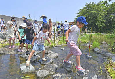 新エリア「わくわく・はじまりの森」のオープン前に、川遊びなど体験する園児＝８日午前、いわき市・アクアマリンふくしま