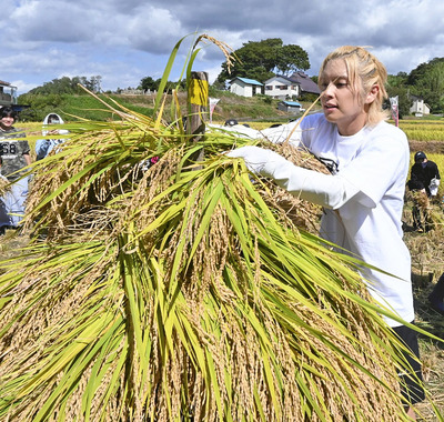 はせ掛けの作業をする手越さん＝郡山市