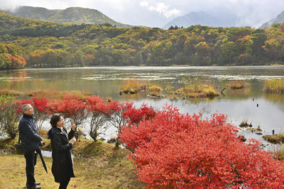 観音沼を囲む木々が色づき、見頃を迎えている観音沼森林公園=27日午前、下郷町