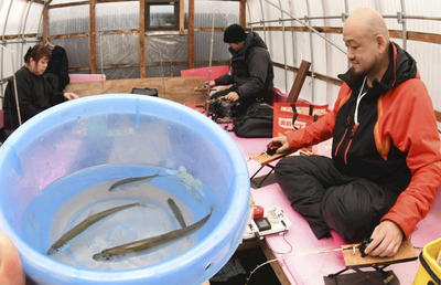 ワカサギ釣りが解禁され、ドーム船の中で釣りを楽しむ愛好者 ＝１日午前、北塩原村・桧原湖