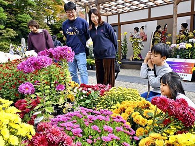 色鮮やかな菊が見頃を迎えた「二本松の菊人形」＝２日午前、二本松市・霞ケ城公園