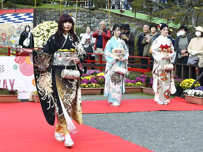 菊があしらわれた振り袖をまとい、ランウェイを歩くモデル