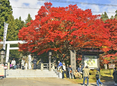 見頃を迎えている土津神社の紅葉＝猪苗代町