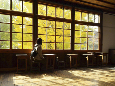 写真スポットとして人気を集めている喰丸小の施設内から見る大イチョウ＝昭和村