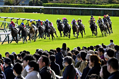 迫力あるレースが繰り広げられた「秋の福島競馬」＝８日午後、福島市・福島競馬場