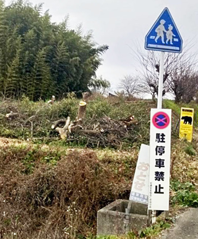 伐採された仁井田小正門前の柿の木＝２日午後、須賀川市（市提供）