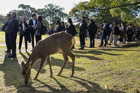 安倍元首相が銃撃され死亡した事件の初公判で、傍聴席を求めて並ぶ大勢の人たち=28日午前、奈良市